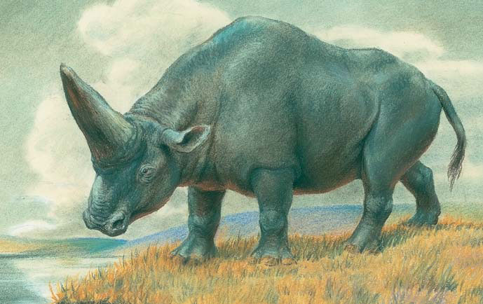 Реконструкция внешнего вида кавказского эласмотерия («Природа» №6, 2019)