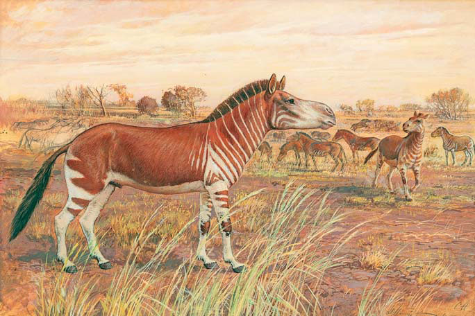 Реконструкция внешнего вида лошади Стенона («Природа» №6, 2019)