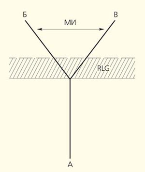 Предполагаемая схема происхождения семейств Pleuromeiaceae и Isoetaceae от гипотетической предковой группы («Природа» №7, 2019)