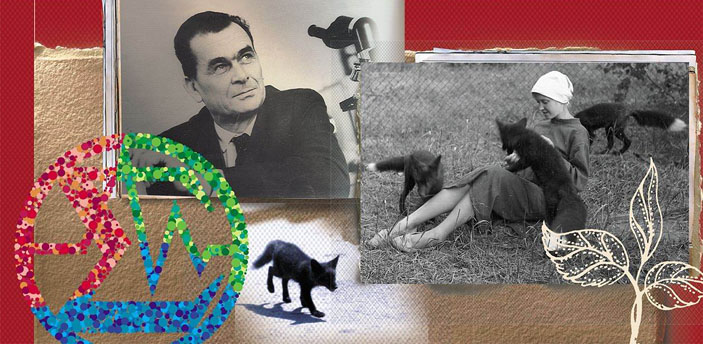 Дмитрий Константинович Беляев («Наука из первых рук» №1(86), 2020)