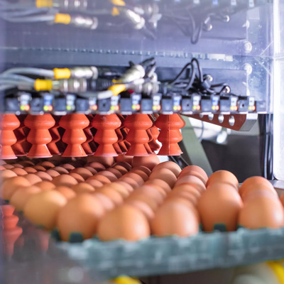 Какая вакцина лучше?