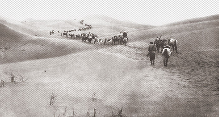 Караван экспедиции П. К. Козлова в пустыне Гоби («Наука из первых рук» №2, 2020)