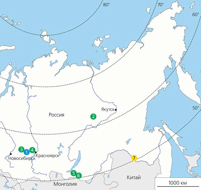 Места находок завропод в Сибири («Природа» №10, 2019)