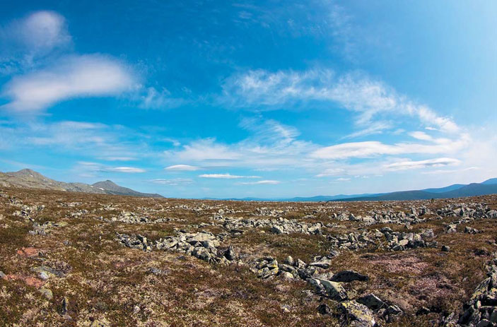 Каменные россыпи хребта Ольховочного («Природа» №10, 2019)