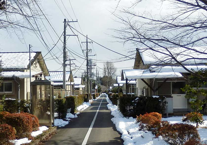 Поселок бывших пациентов Тама Дзэнсёэн («ТрВ» №4(273), 26.02.2019)