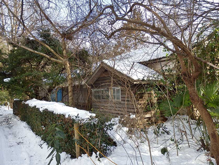 Заброшенный барак для пациентов, Тама Дзэнсёэн («ТрВ» №4(273), 26.02.2019)