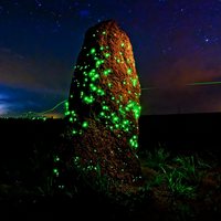 Светящийся термитник