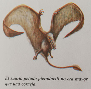 Рисунок Р. Варшамова («Троицкий вариант» №17, 2020)