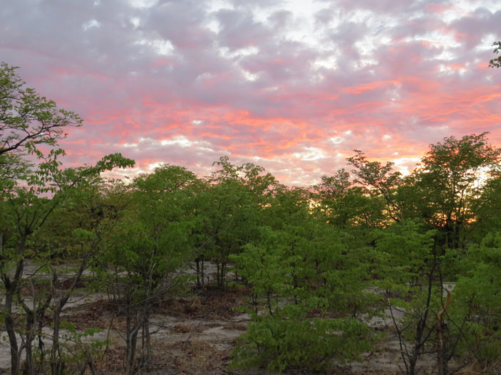 Закат в Ботсване («Троицкий вариант» №18, 2020)