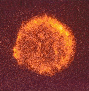 Остаток вспышки сверхновой Тихо (SN 1572) в рентгеновском диапазоне («Наука и жизнь» № 4, 2020)