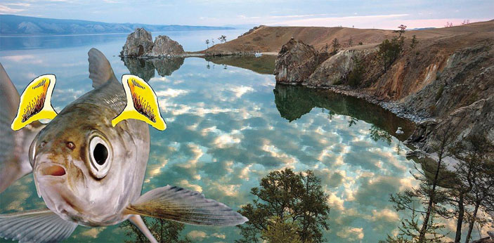 Байкал («Наука из первых рук» №4, 2018)