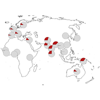 Частота встречаемости неандертальского генетического варианта, повышающего риск тяжелой формы COVID-19