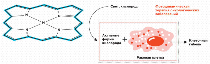 Принцип использования тетрапиррольных соединений в фотодинамической терапии онкологических заболеваний («Коммерсантъ Наука» №33, ноябрь 2020)