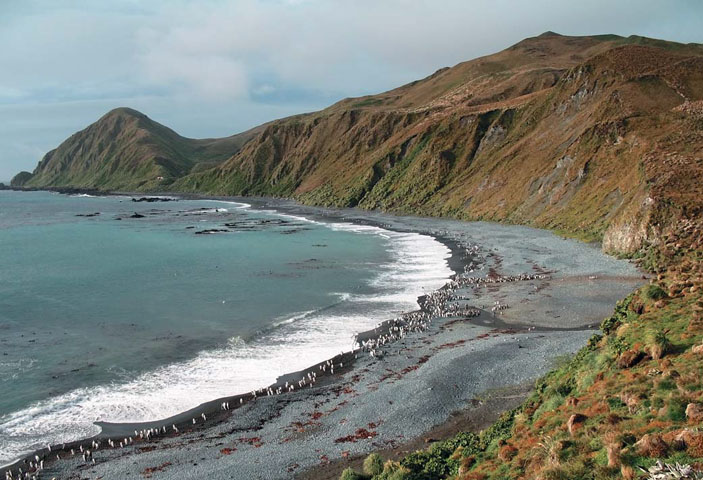 Остров Маккуори в Южном океане («Природа» №2, 2020)