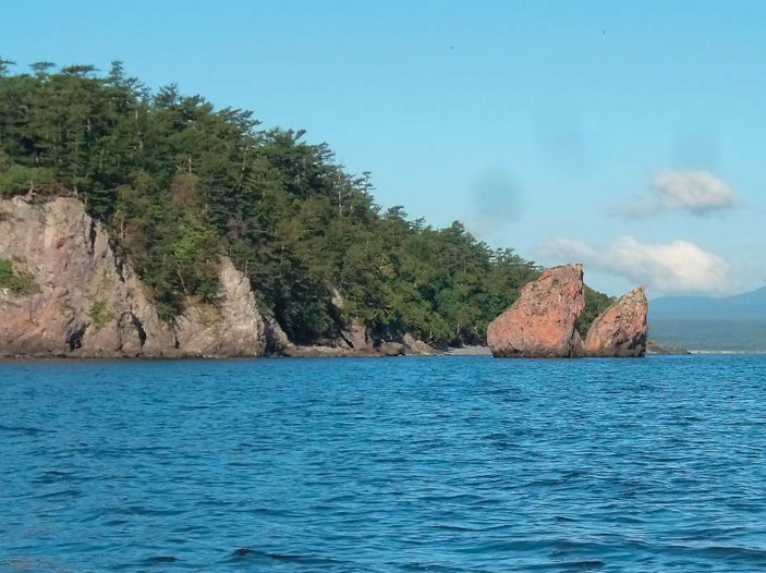 Останцы-кекуры у северного берега острова Чиртамиф («Природа» №4, 2020)