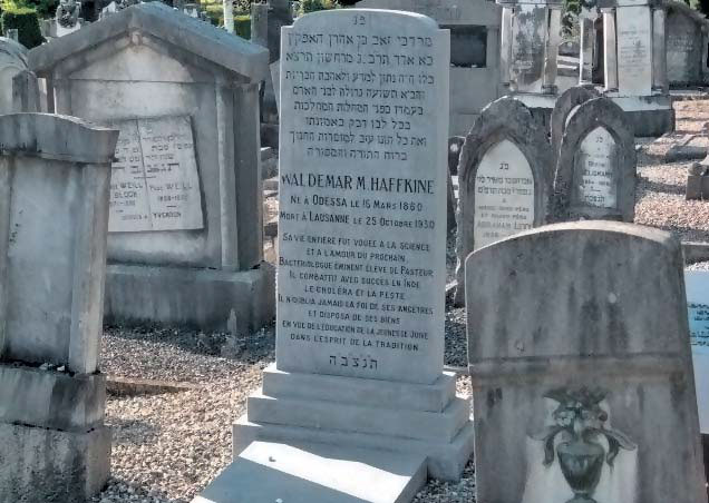 Могила В. А. Хавкина. Лозанна, Швейцария («Природа» №4, 2020)