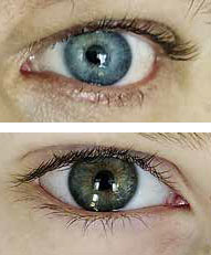 Отражения в зрачке («Квантик» №7, 2020)