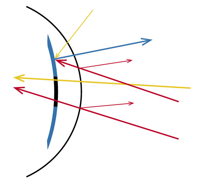 Синим показан свет, идущий от радужной оболочки, а красным — свет от предмета (фотографа), отражённый поверхностью плёнки. Жёлтые — «посторонние» лучи света от других предметов («Квантик» №7, 2020)