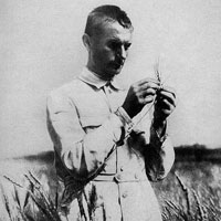 Нарушения научной морали и процветание шарлатанов в науке