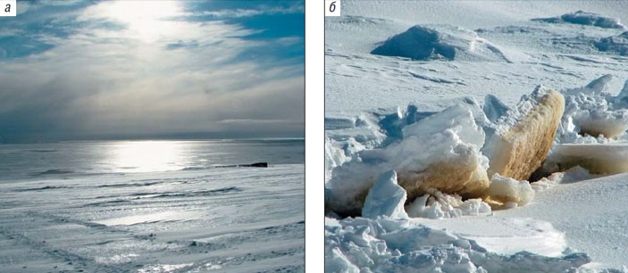 Рис. 5. Образование льда на поверхности воды и колонии диатомовых водорослей (рыжие) на подошве льда («Природа» №6, 2020)