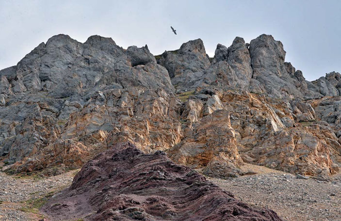 Гнездо беркута на склонах Омулёвских гор («Природа» №6, 2020)