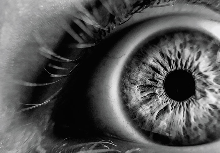 Глаз («Наука из первых рук» №4(89), 2020)