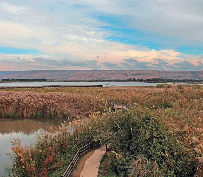 Заповедник «Хула» («Природа» №6, 2020)