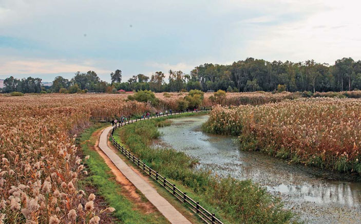 Экологическая тропа в заповеднике «Хула» («Природа» №6, 2020)