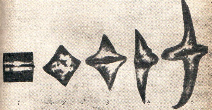 Влияние циклического нагрева, охватывающего два фазовых перехода 668°С и 775°С («Квант» №2, 2018)