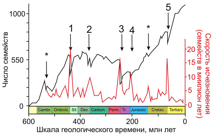 Рис. 1. Изменение количества семейств морских животных на Земле за последние 600 млн лет («Троицкий вариант» №5, 2021)