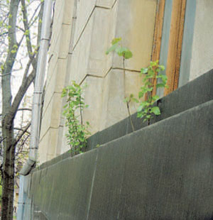 Рис. 2 («Квант» №9, 2018)