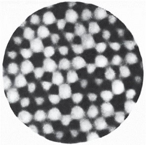 Фото 6. Профиль электронной плотности над поверхностью кремния («Квант» №11, 2018)