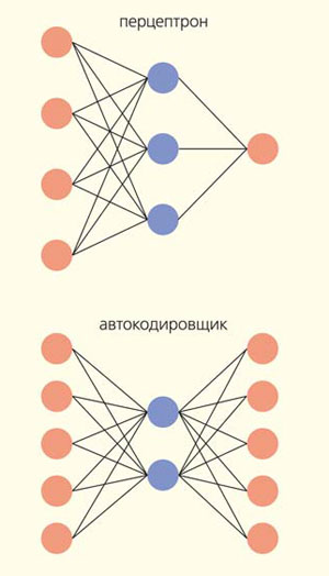 Рис. 6. Наиболее распространенные архитектуры нейронных сетей («Природа» №9, 2020)