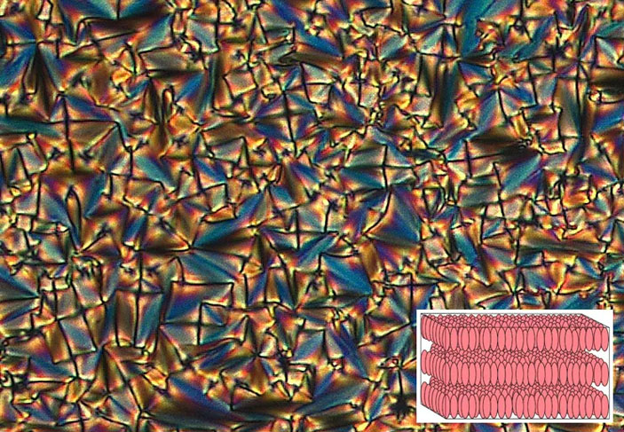 Рис. 2. Веерная текстура смектического жидкого кристалла и строение этой фазы («Троицкий вариант» №9, 2021)