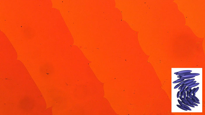 Рис. 3. Планарная текстура с линиями Кано — Гранжана холестерического жидкого кристалла и строение этой фазы («Троицкий вариант» №9, 2021)