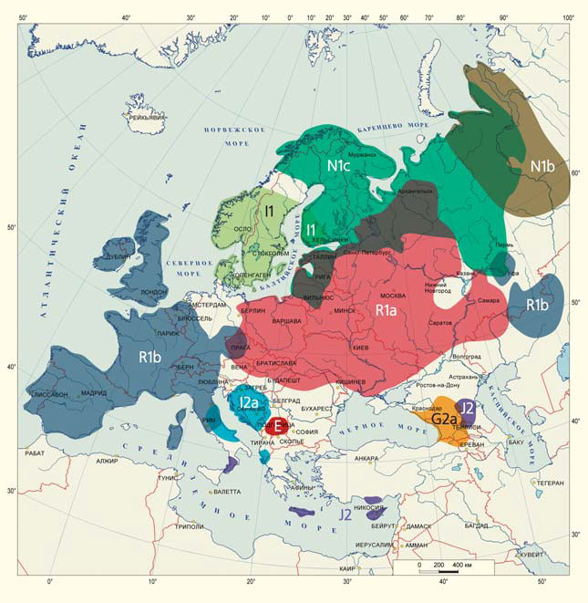 Рис. 3. Структура генофонда населения Европы по Y-хромосоме («Природа» №11, 2020)