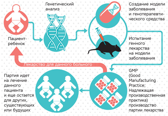 Принципиальная схема производства генных лекарств («Коммерсантъ Наука» №23, июнь 2021)