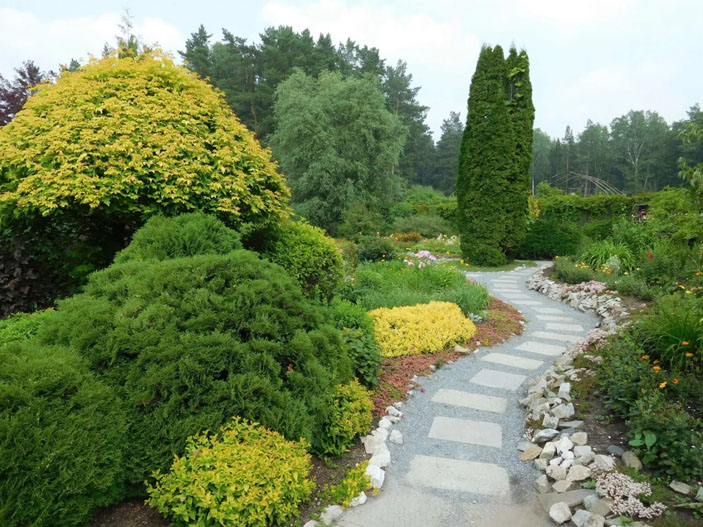 ЦСБС СО РАН («Троицкий вариант» №13, 2021)