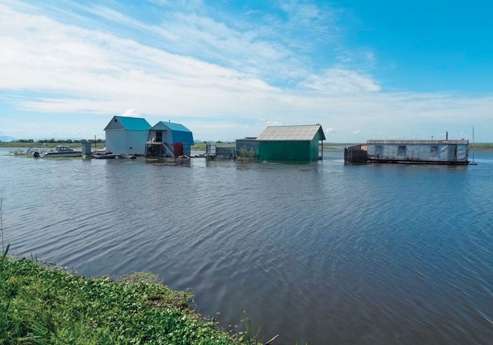 Катастрофический разлив оз. Ханка («Природа» №11, 2020)