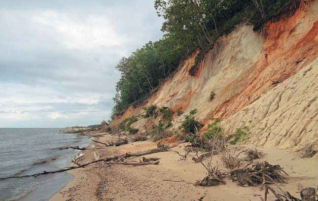Абразионно-денудационный берег южнее с. Турий Рог («Природа» №11, 2020)
