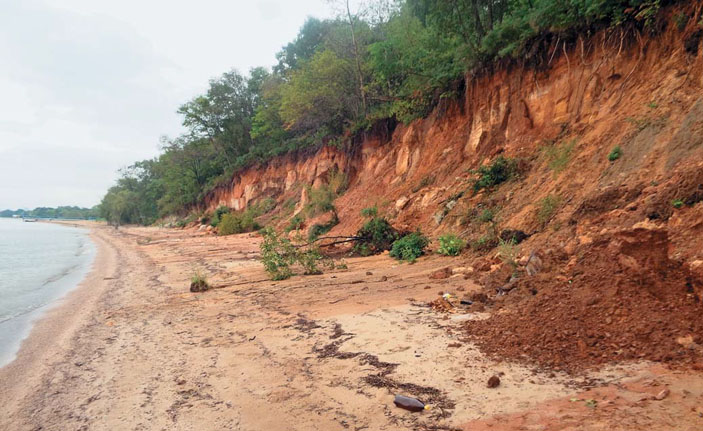 Абразионный берег вблизи с. Камень-Рыболов («Природа» №11, 2020)