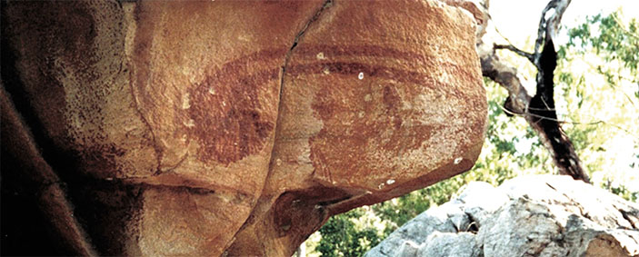 Наскальное изображение головы кометы, сделанное австралийскими аборигенами вблизи г. Калумбуру («Наука из первых рук» №1–2(91), 2021)