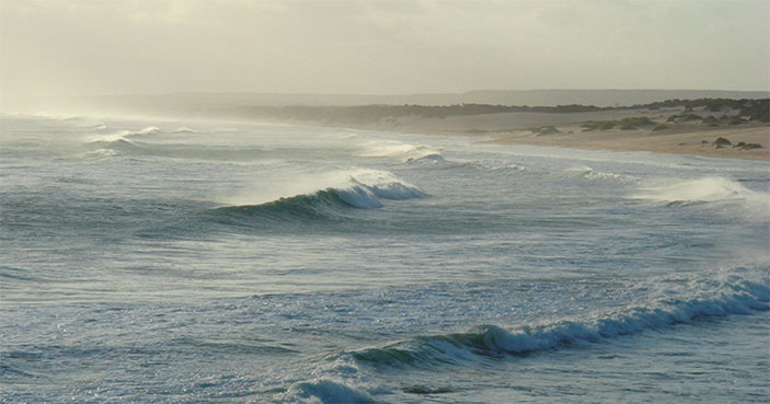 Мадагаскар («Наука из первых рук» №1–2(91), 2021)