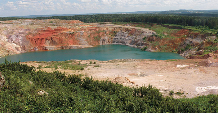 Нарушенные горными работами участки являются благоприятной средой для внедрения чужеродных видов («Наука из первых рук» №1–2(91), 2021)