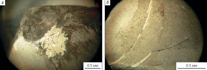 Рис. 6. Пиритизация фрагмокона («Природа» №12, 2020)