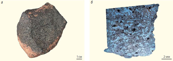 Еще не зарегистрированный метеорит (парный марокканскому NWA 12564) («Природа» №1, 2021)