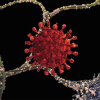 Вакцинация без мифов