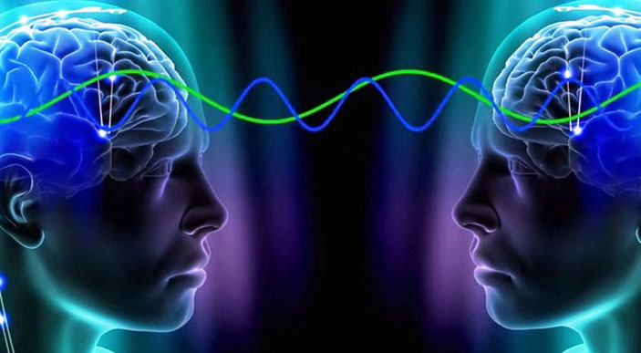 Объединяющей теории мозга нет! («Знание — сила» №2, 2020)