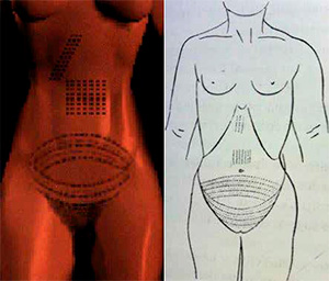 Татуировки на теле жрицы («Химия и жизнь» №10, 2021)