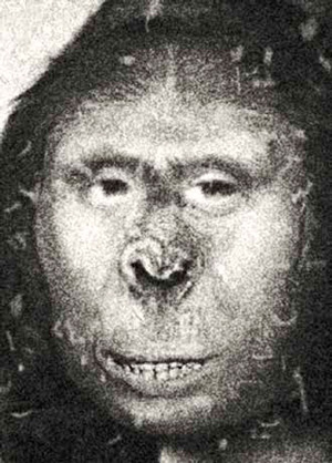 Зана в представлении художника — типичная йети («Химия и жизнь» №12, 2021)